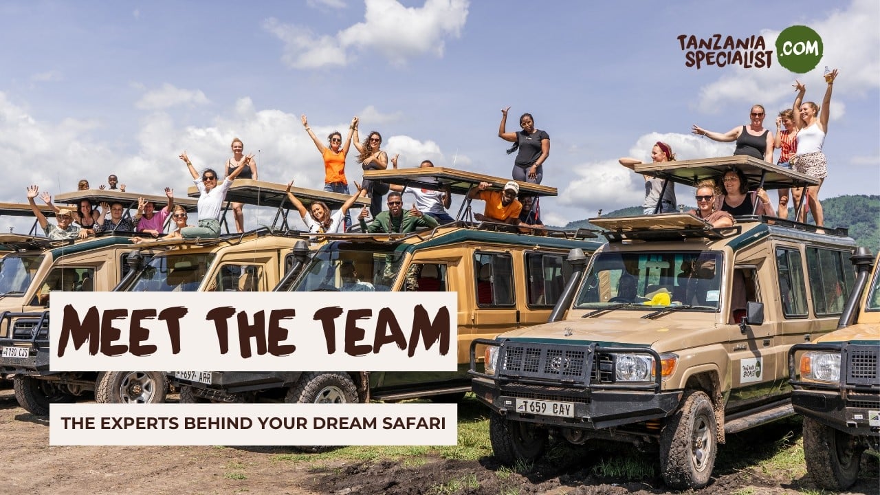 Meet the Team Behind Your Dream Safari | Your Tanzania Trip