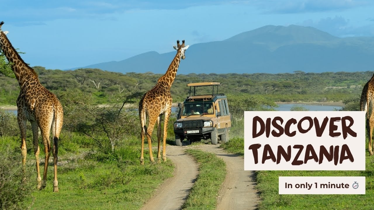 1 minute to discover Tanzania, with Your Tanzania Trip.