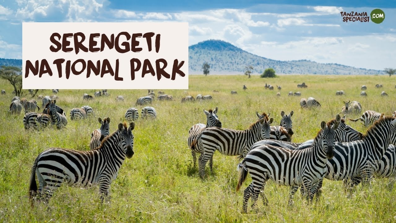 Explore Serengeti National Park with Your Tanzania Trip