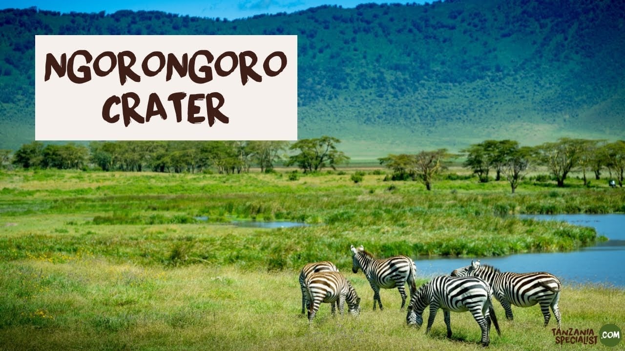 Explore Ngorongoro crater with Your Tanzania Trip