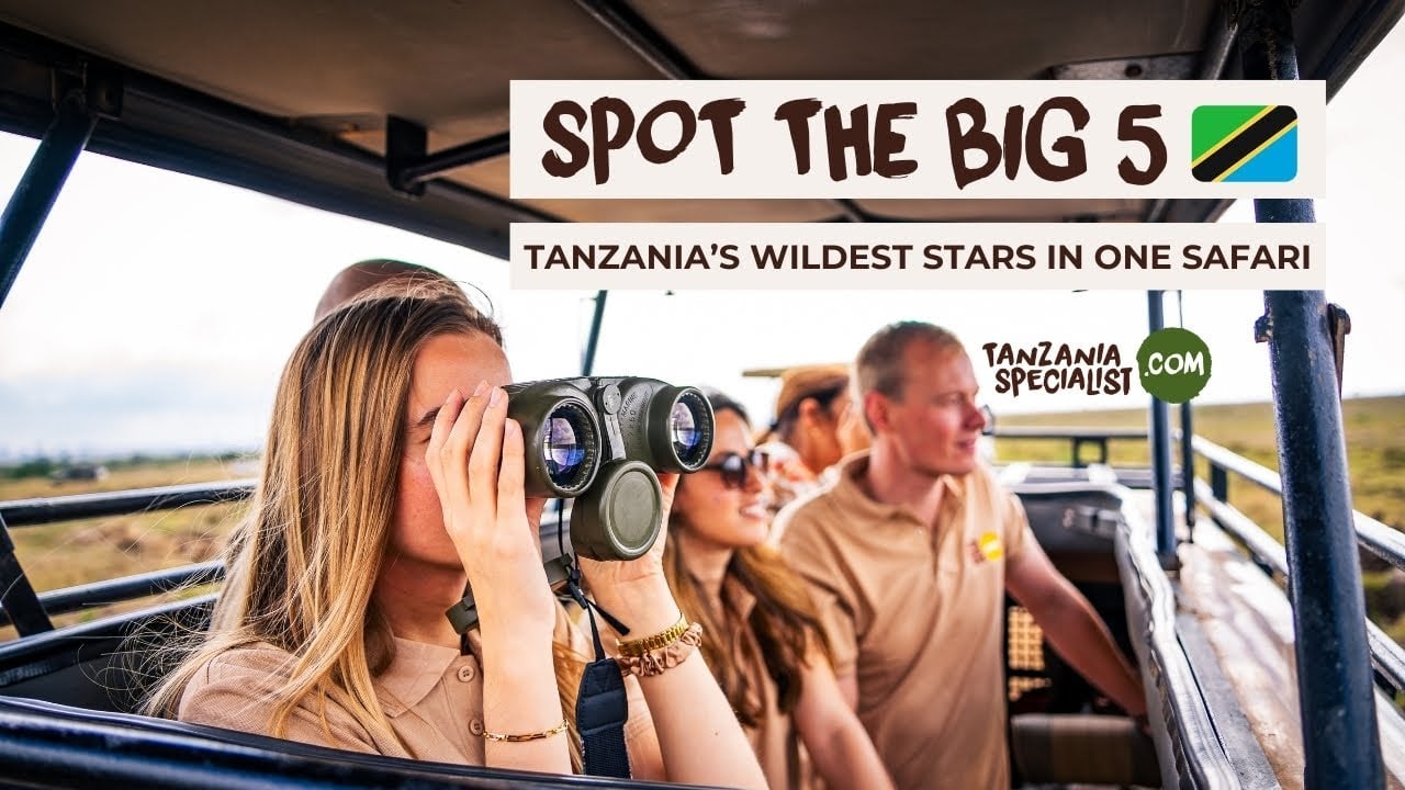 Big 5 Safari in Tanzania with Your Tanzania Trip