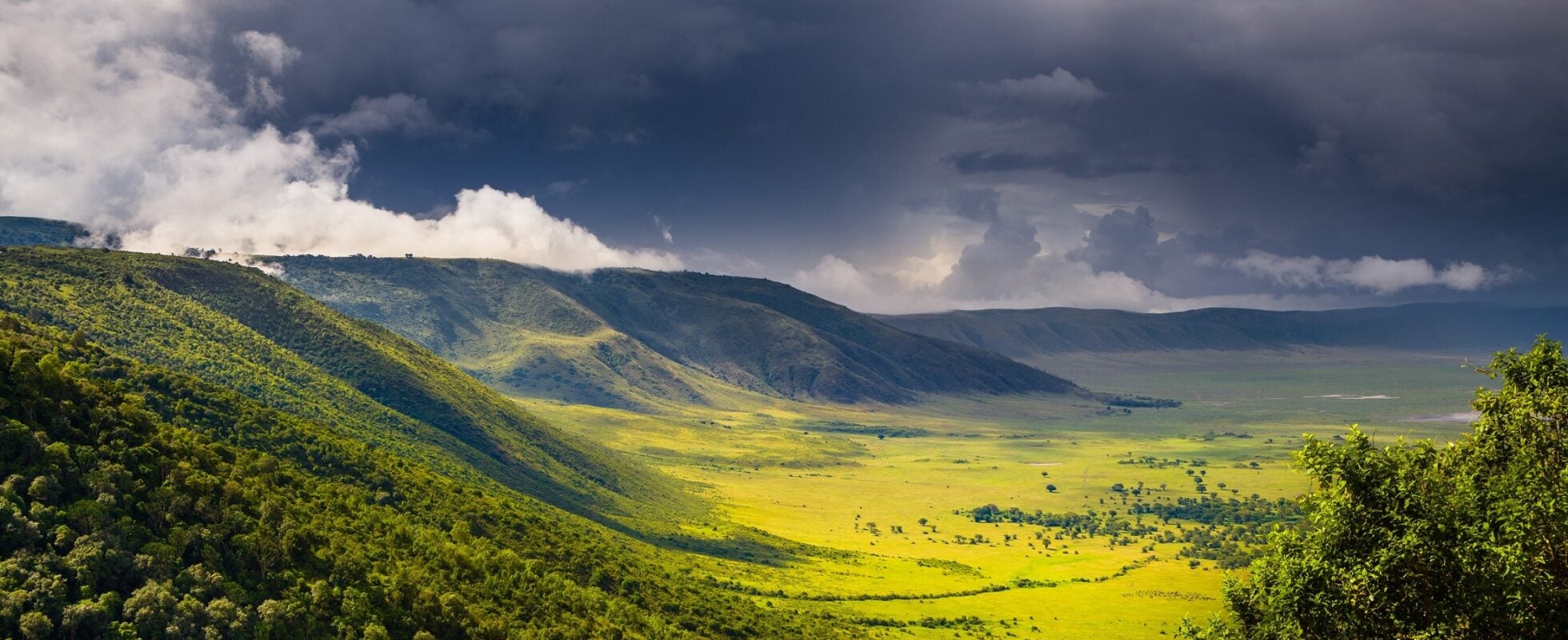 View into Ngorongoro Crater with dark clouds and light green plains