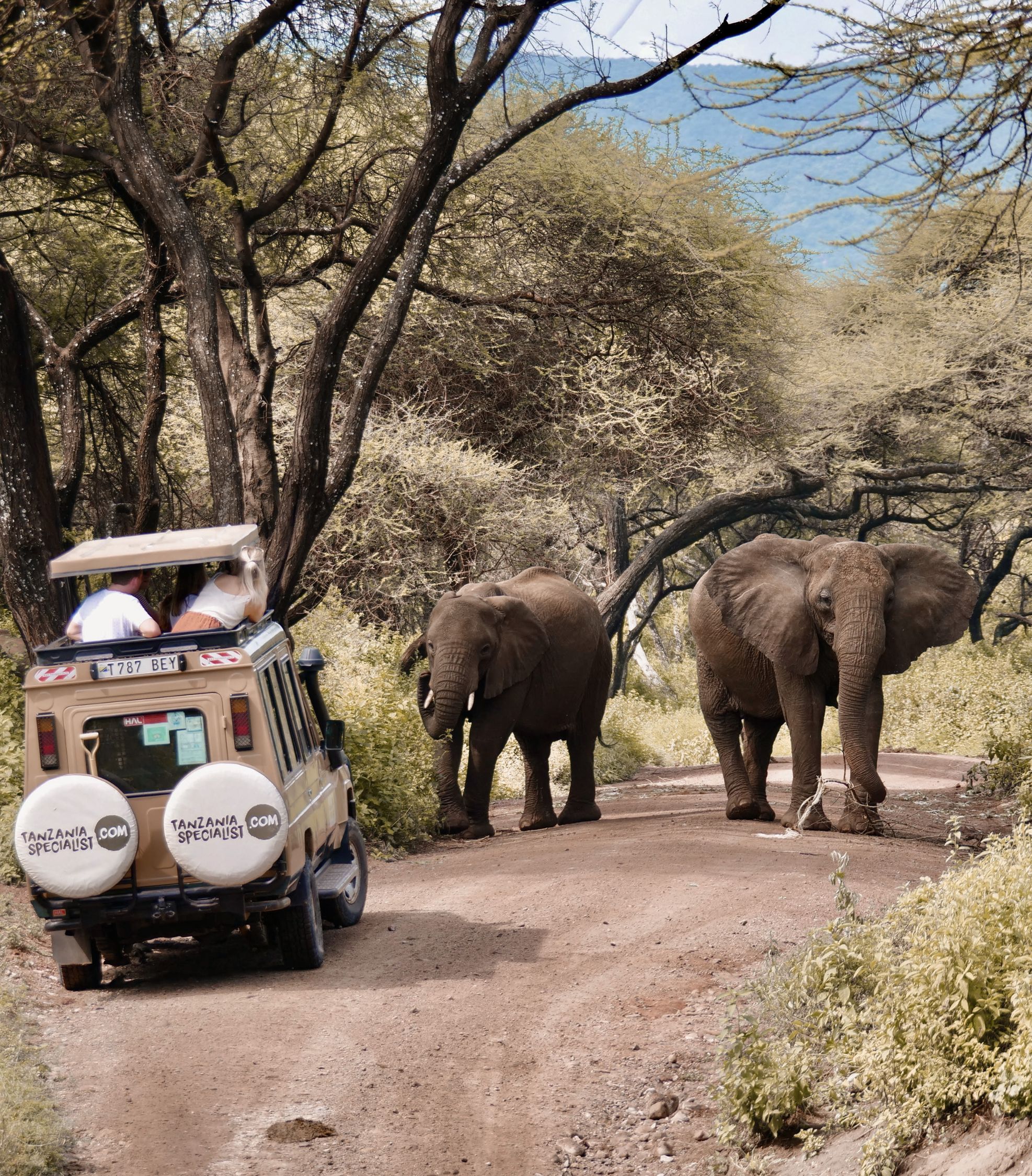 Why Your Tanzania Trip?