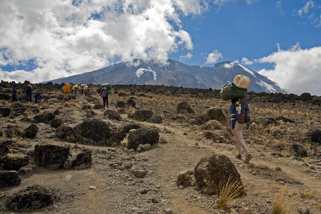 Lemosho Route (1/7) | Drop off (3,500 m/11,483 ft) - Shira 1 Camp (3,510 m/11,515 ft)