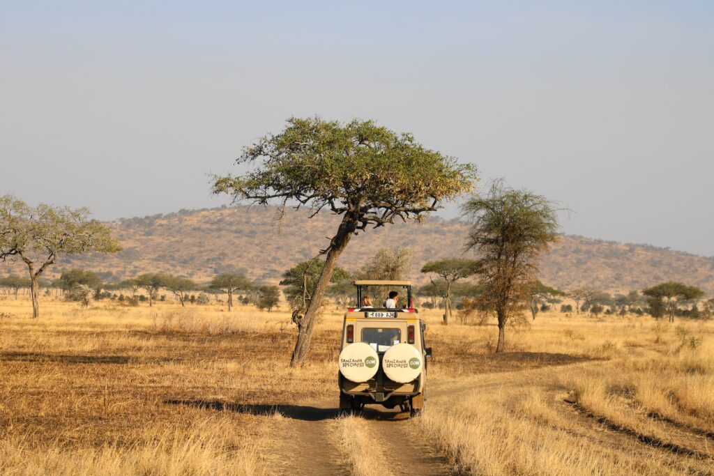 Dry season savannah Your Tanzania Trip jeep