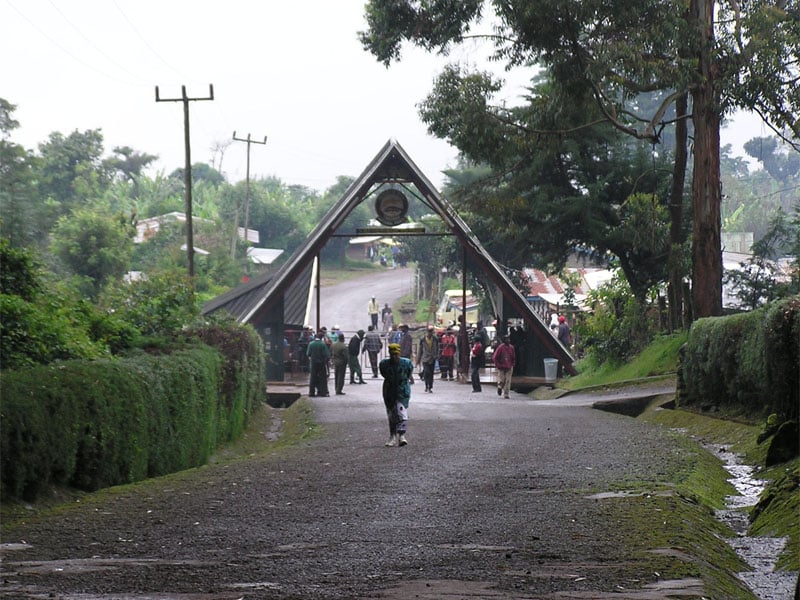 Rongai Route (6/6) | Horombo Huts (3,720 m/12,204 ft) - Marangu Gate (1,860 m/6,102 ft) - Hotel