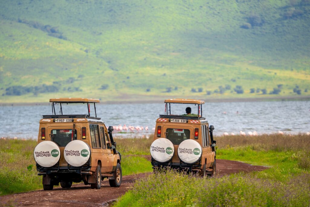 TS jeeps Ngorongoro