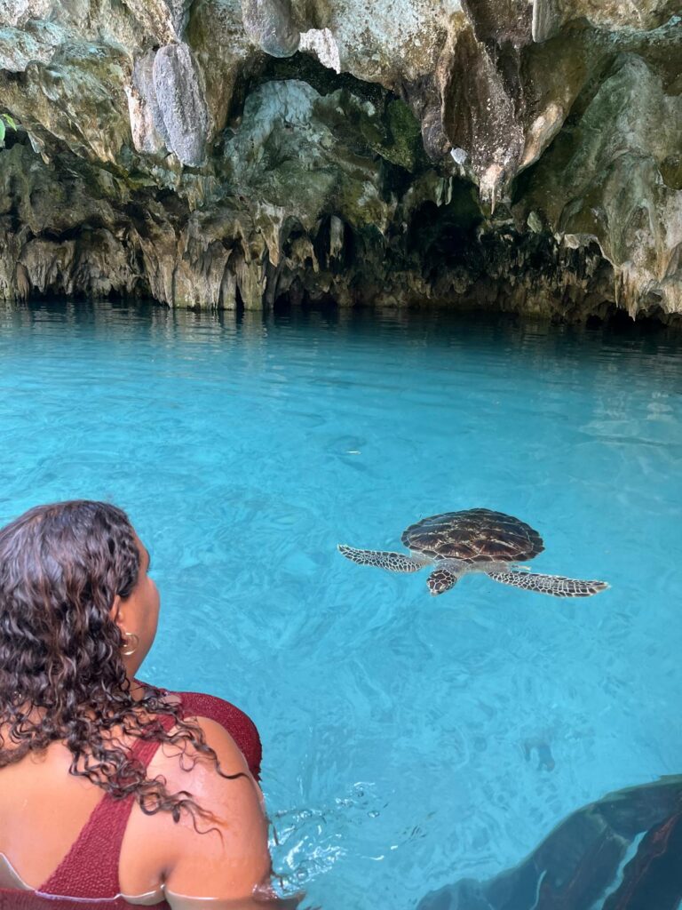 Tieyo_Sea turtle