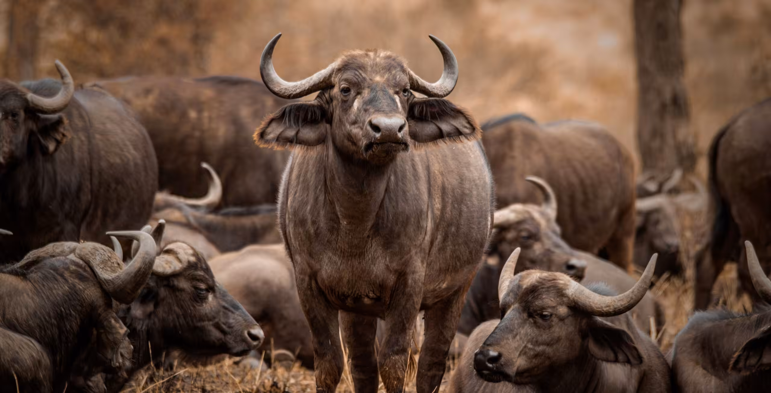 Lake Manyara National Park