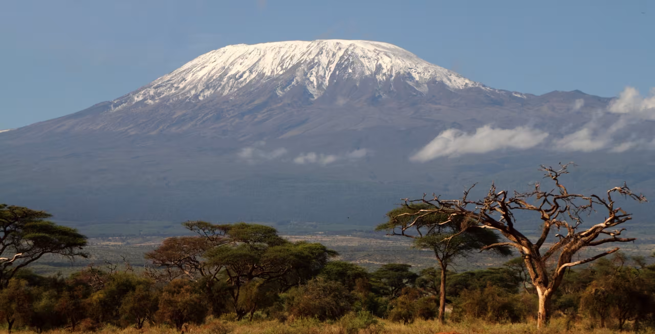 Arrival at Kilimanjaro International Airport for your climb