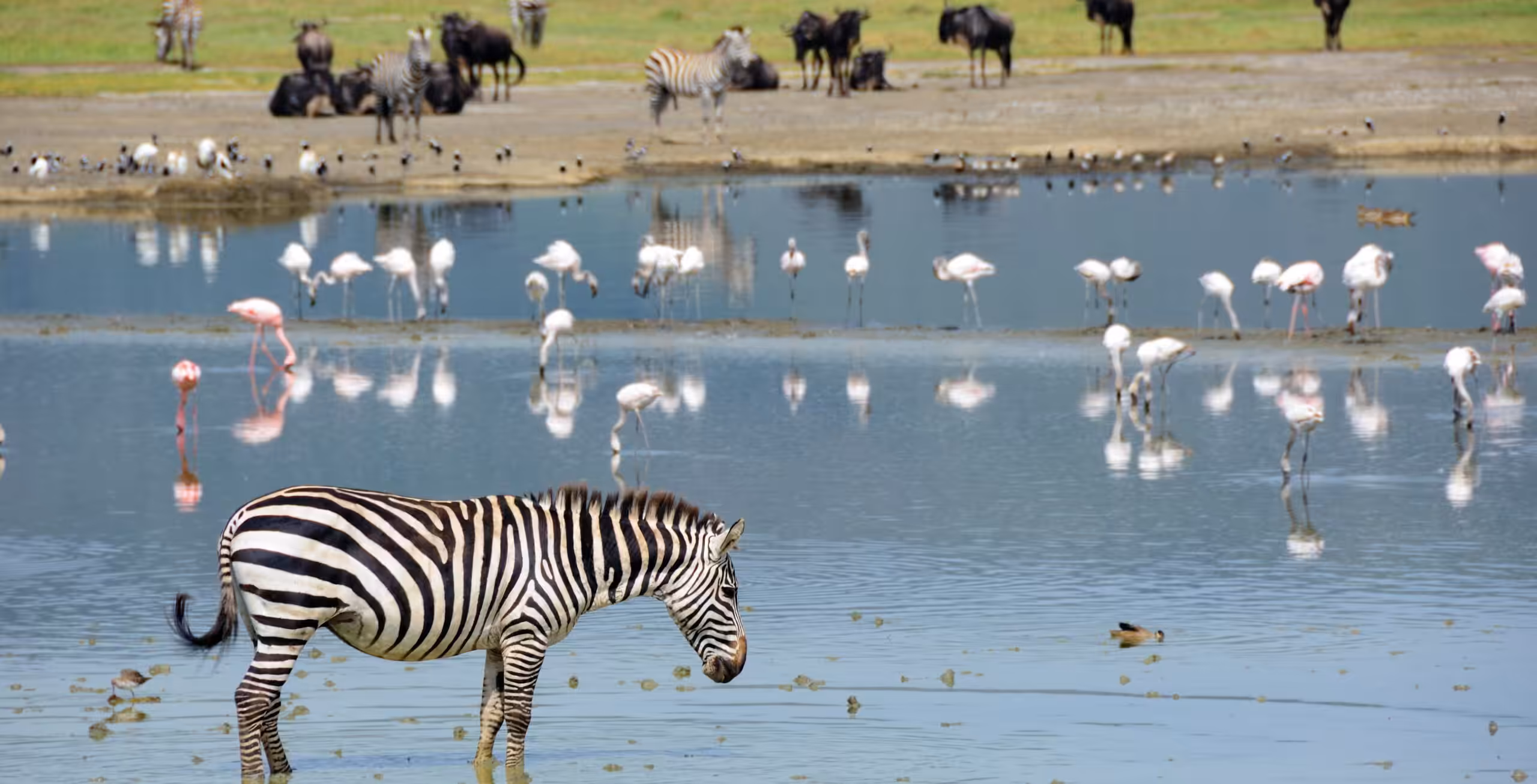 Ngorongoro Crater - luxury style!