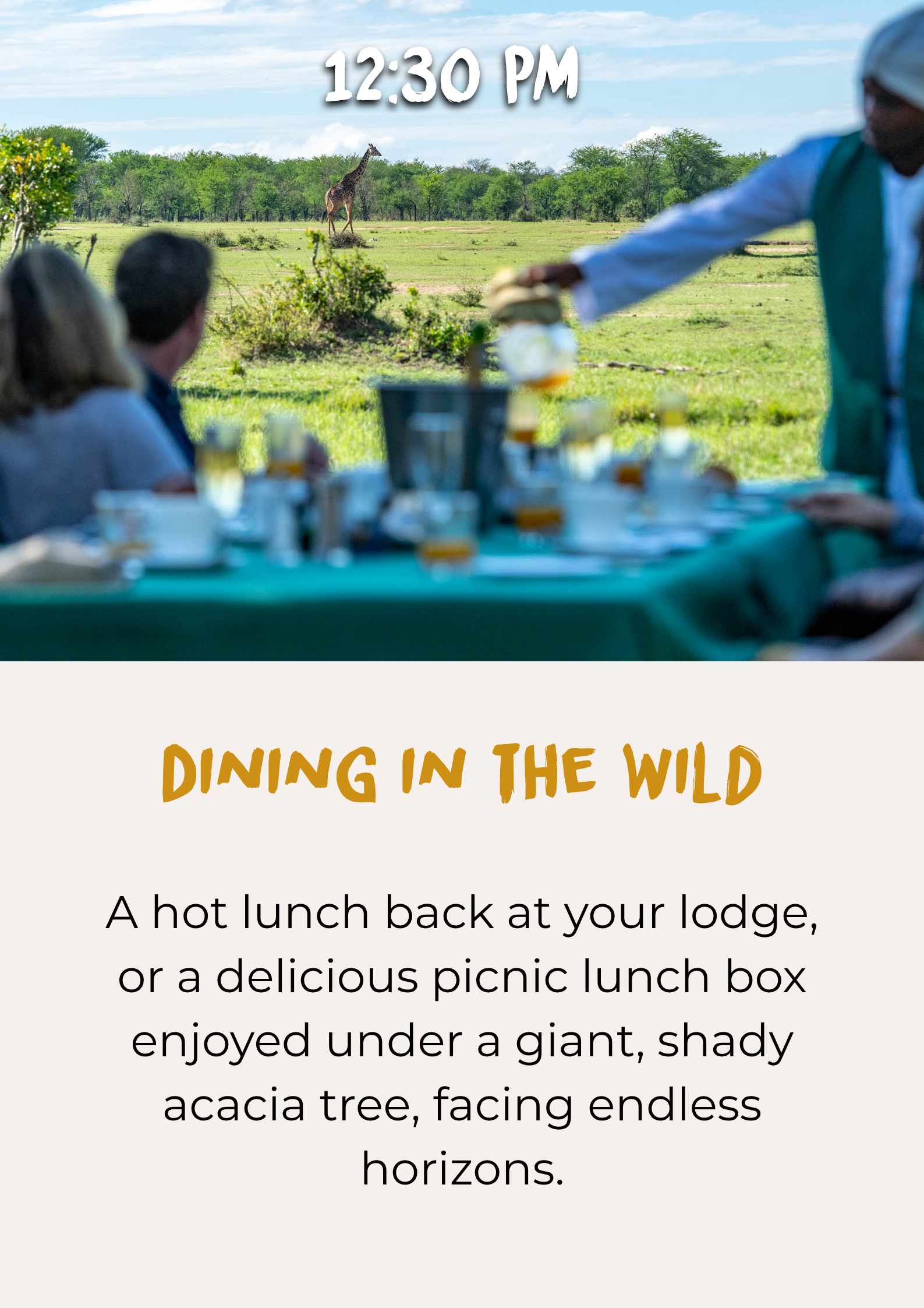 Lunch in the wild during a Tanzania safari Lunch in the wild during a Tanzania safari